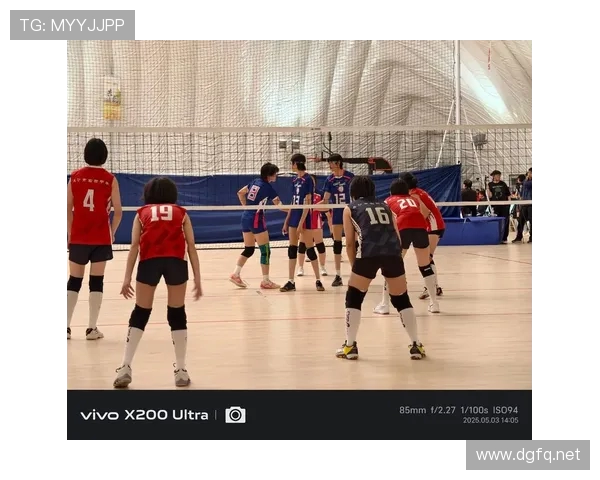 国际排联对比赛排球弹性模量的标准化赛